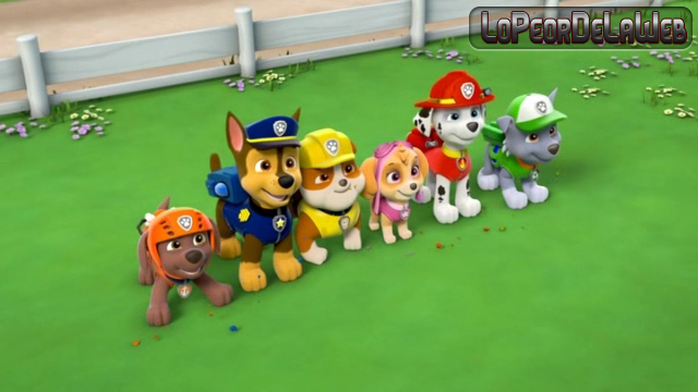 Paw Patrol :Marshall And Chase On The Case 2015 DVDRip latin