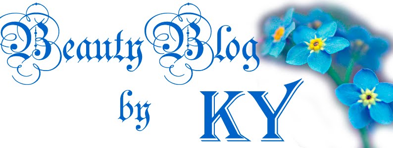 BeautyBlog by KY