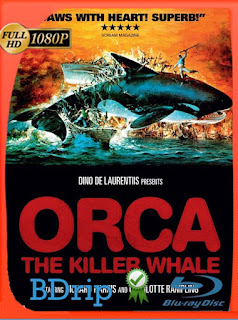 Orca, la ballena asesina (1977) BDRIP 1080p Latino [GoogleDrive] SXGO