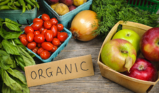 The Importance Of Organic Nutrition