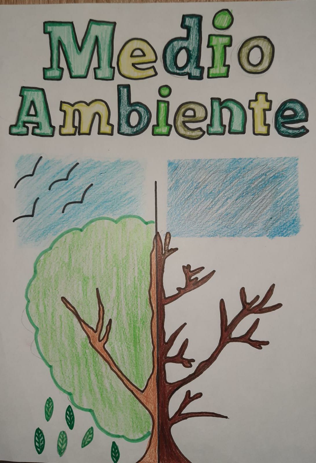 CUIDEMOS EL MEDIO AMBIENTE