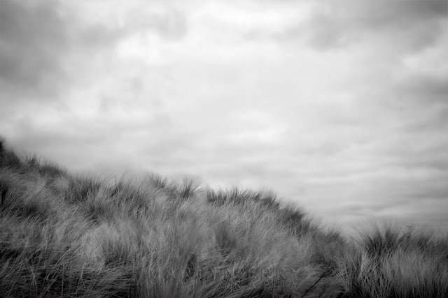 Black and white photograph of sand dunes between Seahouses & Bamburgh by Martyn Ferry Photography