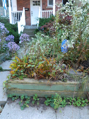 Toronto Roncesvalles Front Yard Fall Cleanup Before by Paul Jung Gardening Services--a Toronto Gardening Company Toronto Roncesvalles Front Yard Fall Cleanup Before by Paul Jung Gardening Services--a Toronto Gardening Company