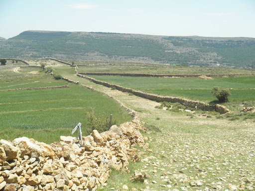 El Camí a l'Alt Maestrat i els Ports