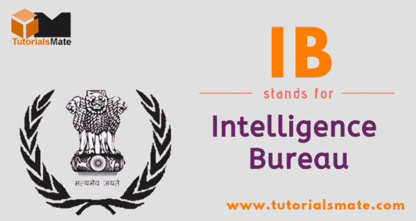 What Does Ib Stand For In Intelligence? – ZONXT