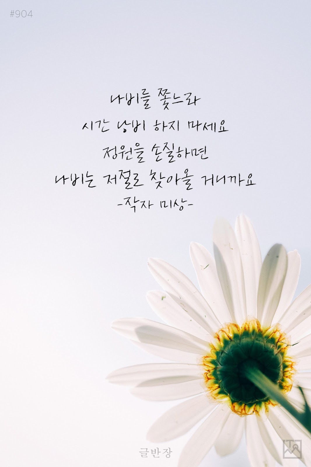 나비를 쫓느라 시간 낭비 하지 마세요 - 작자 미상