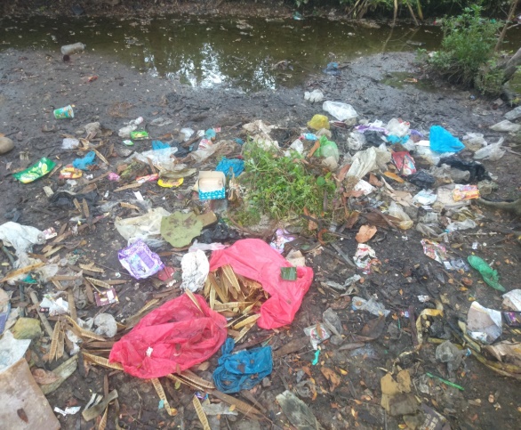 Contoh Limbah Rumah Tangga