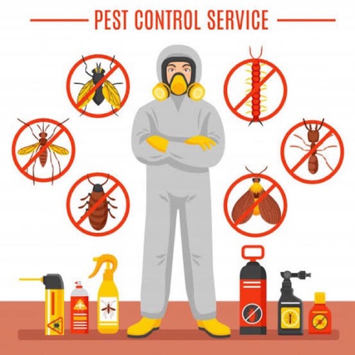 Control Pests With Effective Pest Control Services