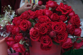 फूलों के फोटो, दिल के फोटो, गुलाब शायरी, फूल गुलाब, कमल के फूल, गुलाब फूल की खेती, गुलाब के फूल के उपयोग, फूलों की फोटो