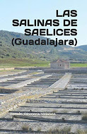 SALINAS DE GUADALAJARA