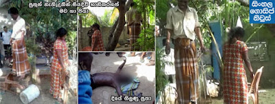Parents commit suicide after child dies in Valachchenai - Kalkudah Parents commit suicide after child dies in Valachchenai - Kalkudah