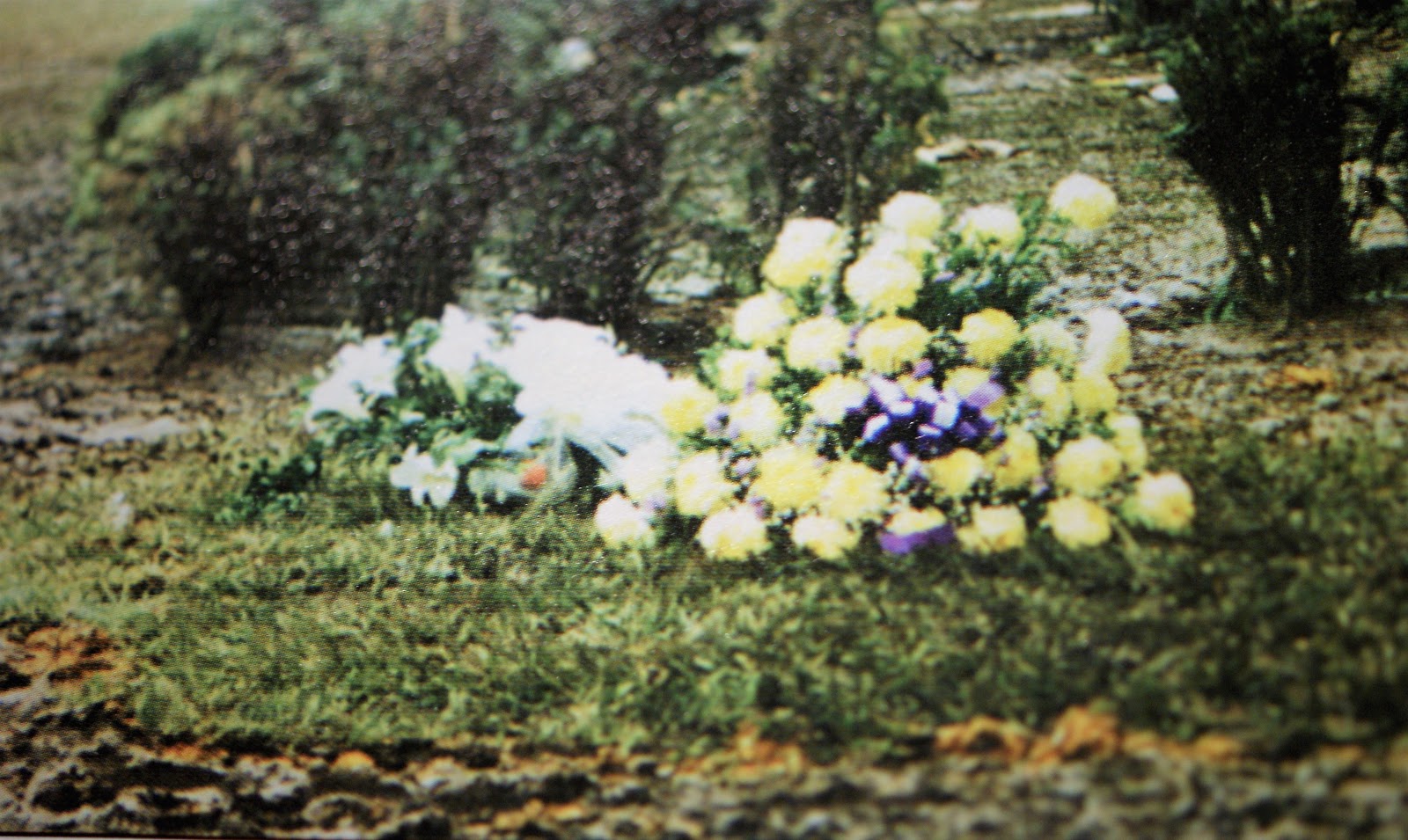 Proyecto Pablo Escobar Tumba de Pablo Escobar el primer día. 1993