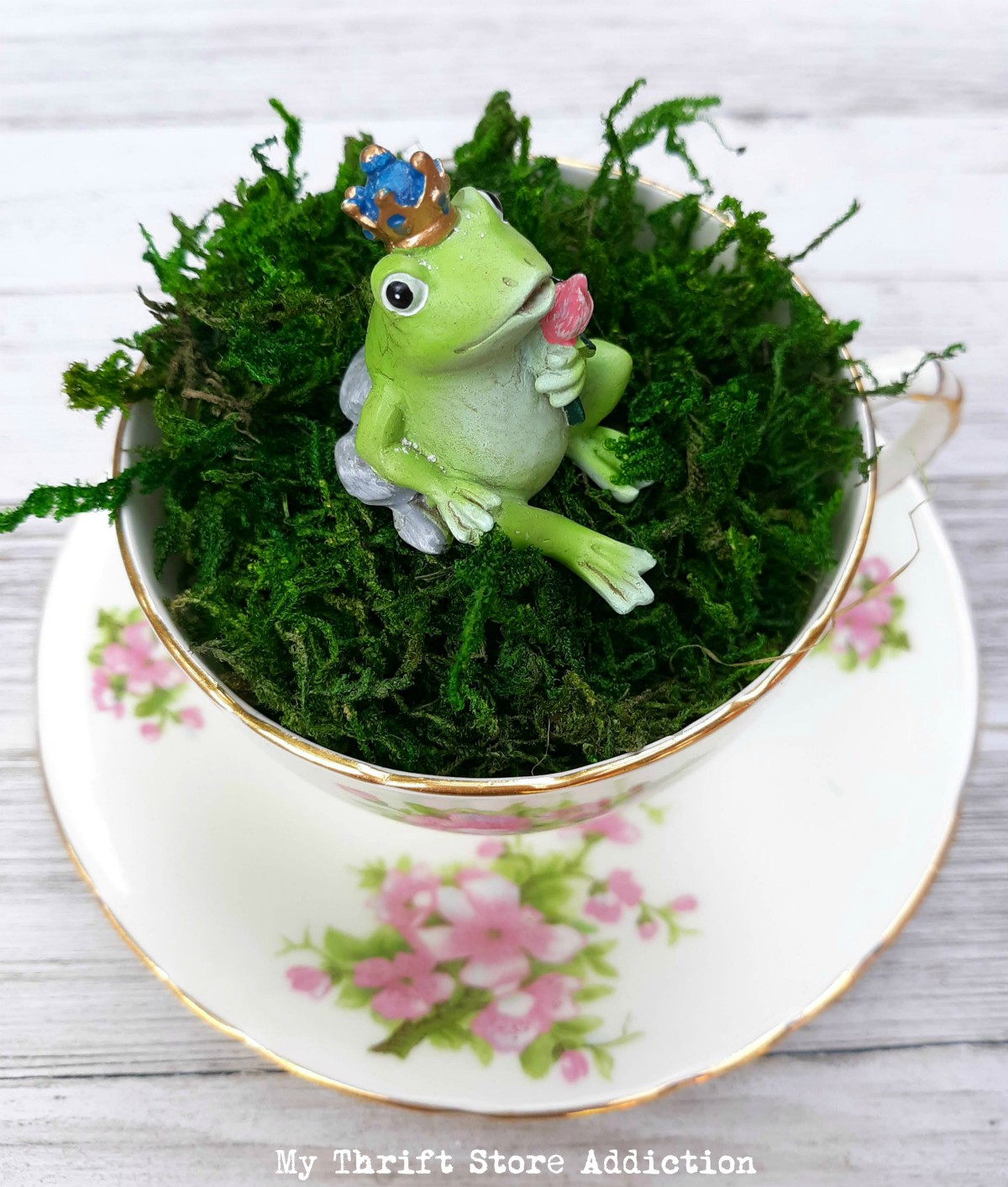 teacup fairy garden