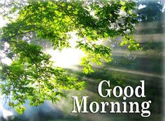 good morning images free download for whatsapp hd download