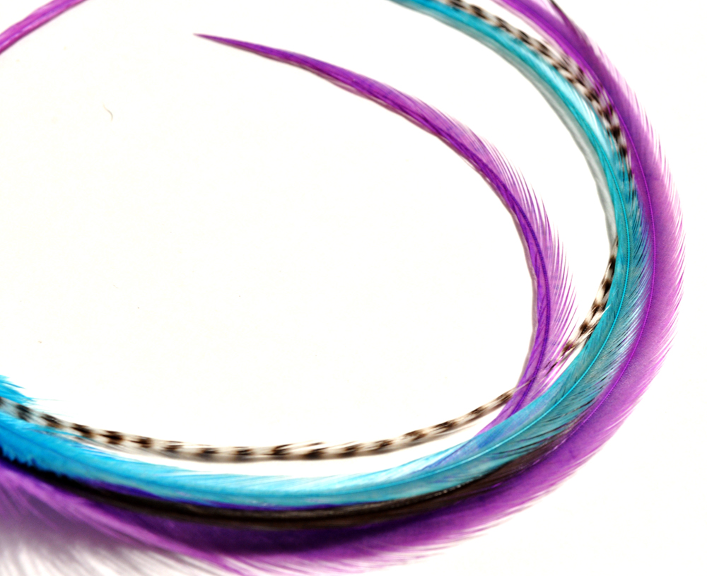 Nicole Northway How To Dye Feathers Tutorial nicole-northway-how-to-dye-feathers-tutorial