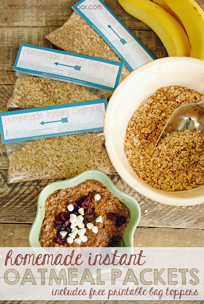 Homemade Instant Oatmeal Packets i should be mopping the floor
