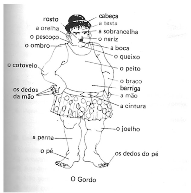 Português para Poucos Partes do Corpo humano Português para Poucos Partes do Corpo humano