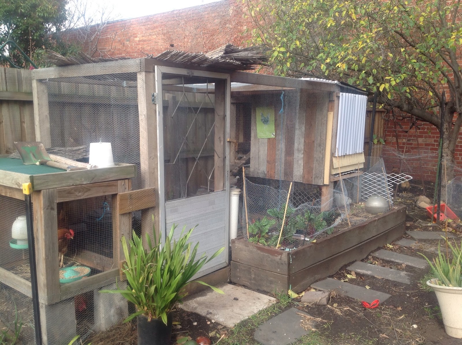 Moreland Food Gardens Network The Joys Of Community Food Gardening From Home