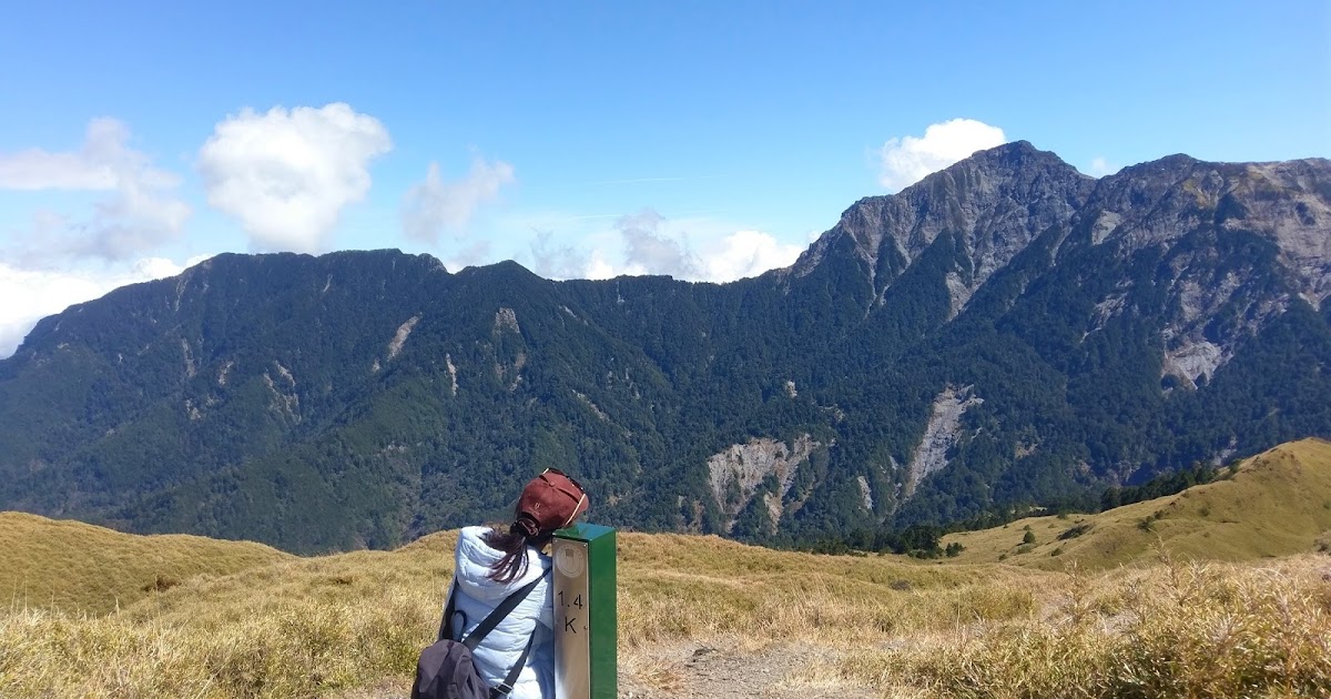 [遊記] 絕景合歡(3) 小奇萊步道的夢幻箭竹原