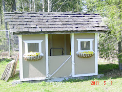 tiny chicken coop decorate chick chic shabby ultimate retreat guess instead waiting shack am