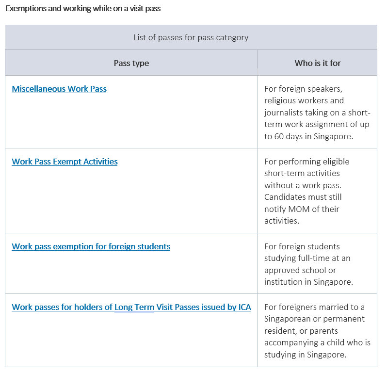 Types of Passes for entry to Singapore Explained