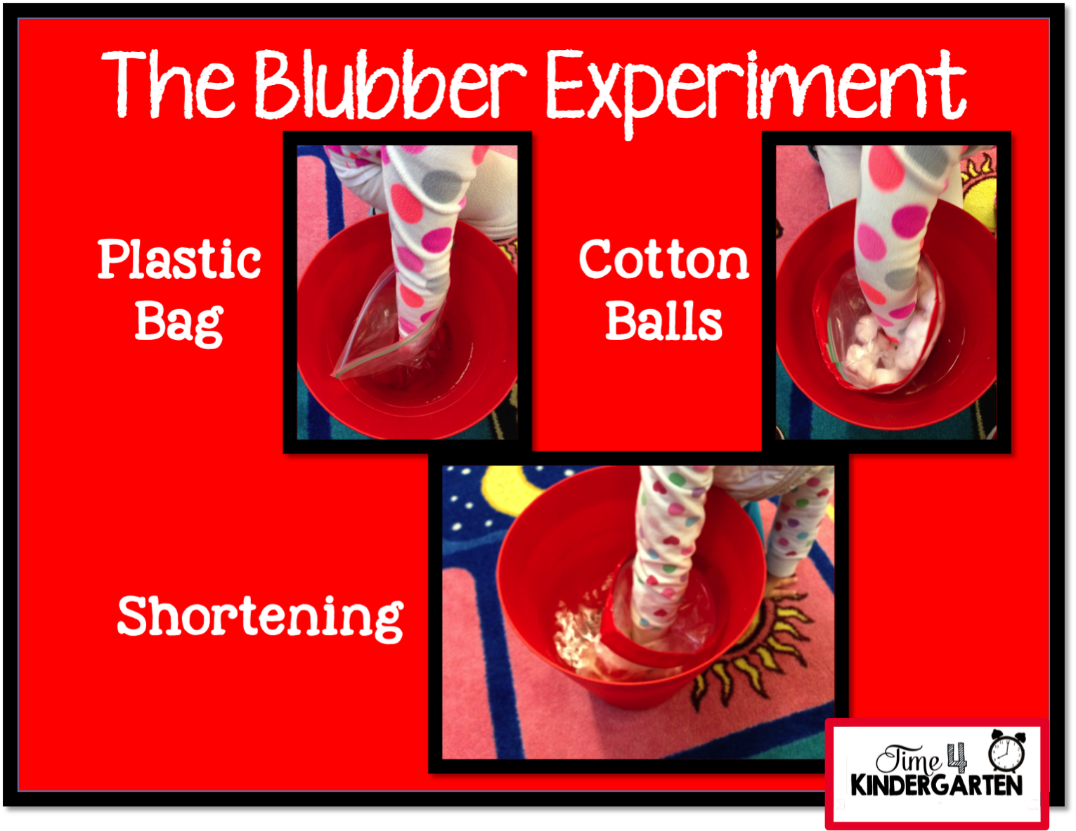 Polar Habitats in Kindegarten Time 4 Kindergarten