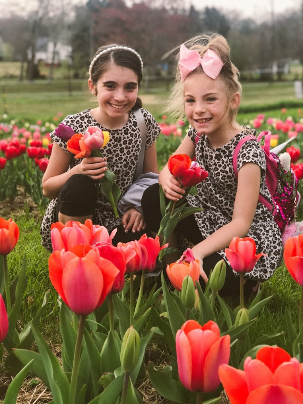 With Style & Grace Tulip Picking at Dewberry Farm