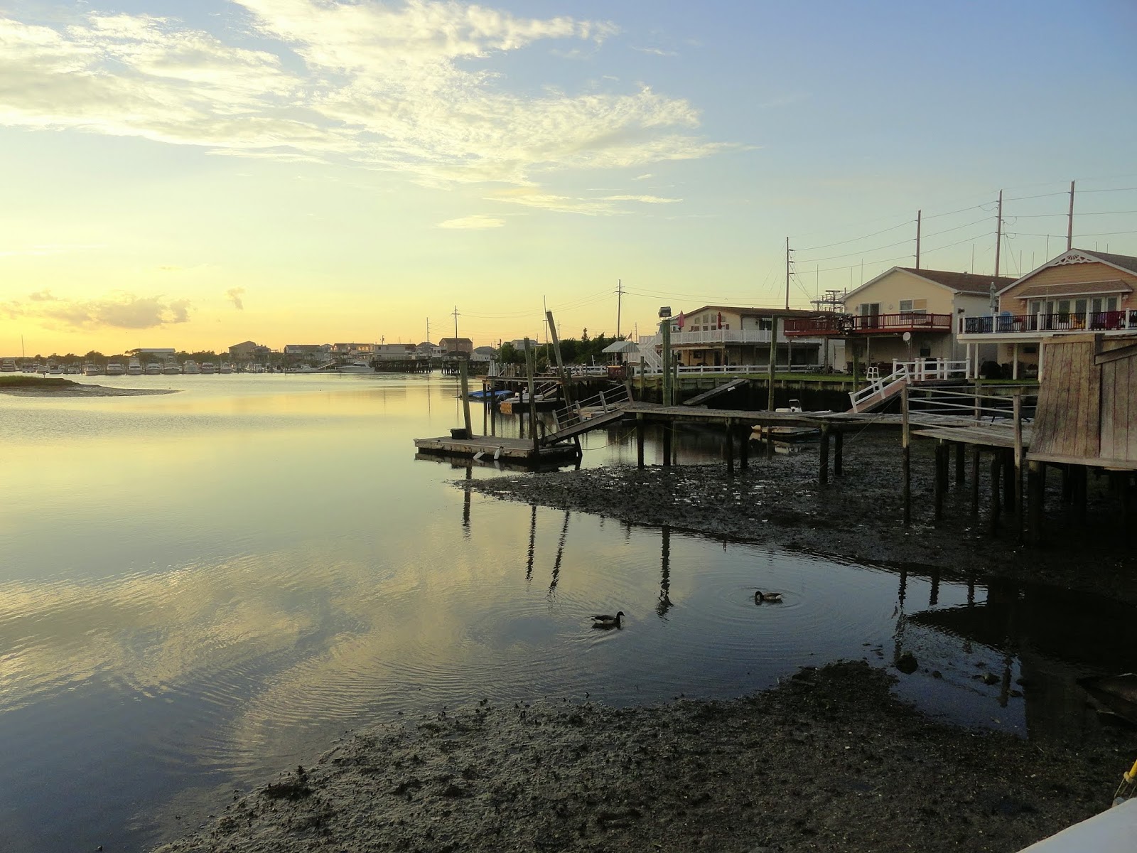 Wildwood Weather Mostly Sunny Warm Monday