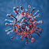 Mais um? Novo tipo de coronavírus pode infectar células humanas