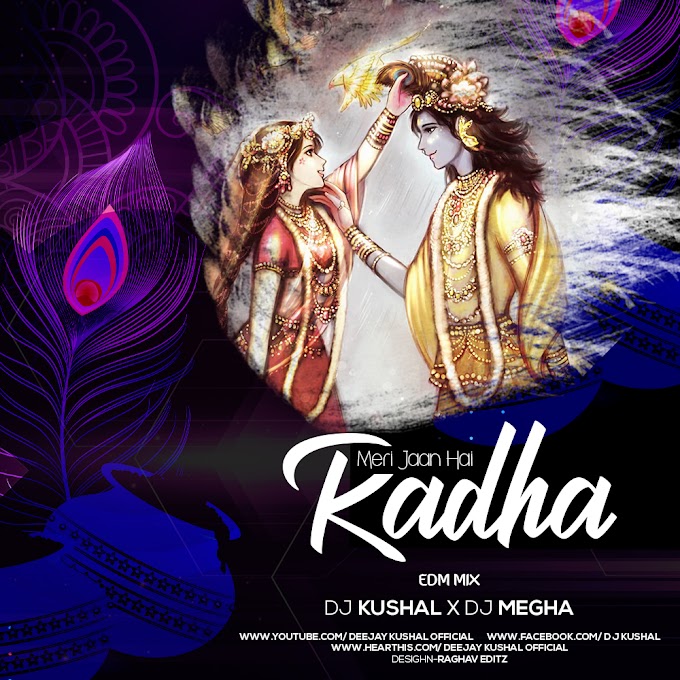 Meri Jaan Hai Radha ( Janmastami Special 2k19 ) - D J Kushal X DJ Megha