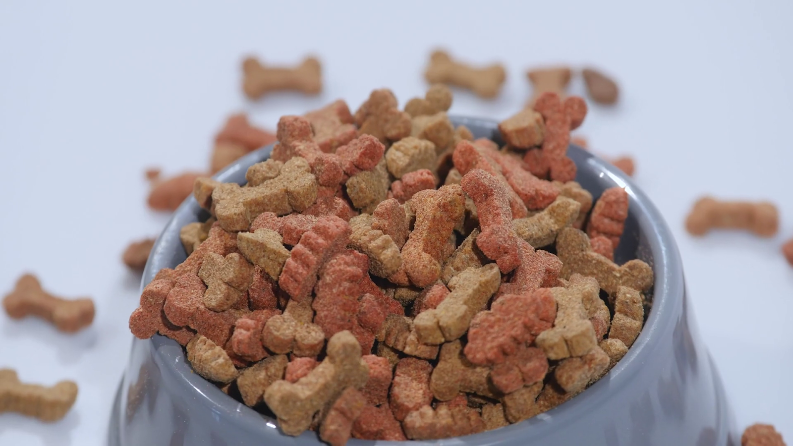 корм для собак презент