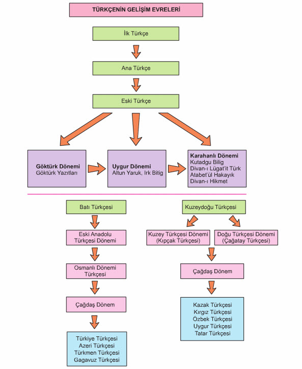 Türkçe'nin Tarihi Dönemleri - Beyoğlu Akademi