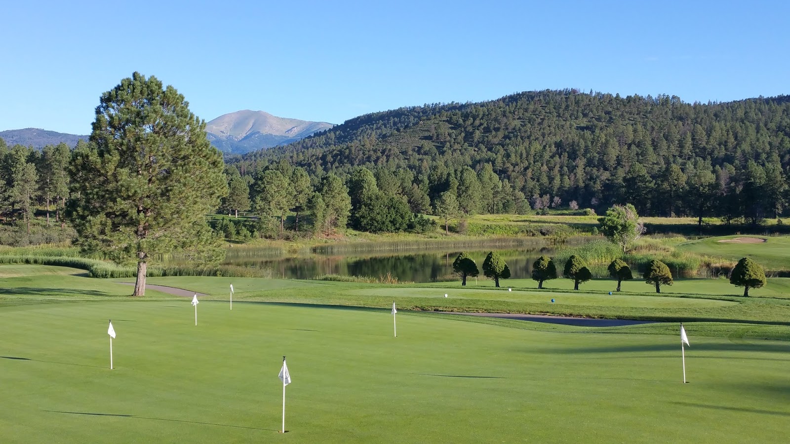 kay's reading life Here's what I've been up to...Ruidoso and some