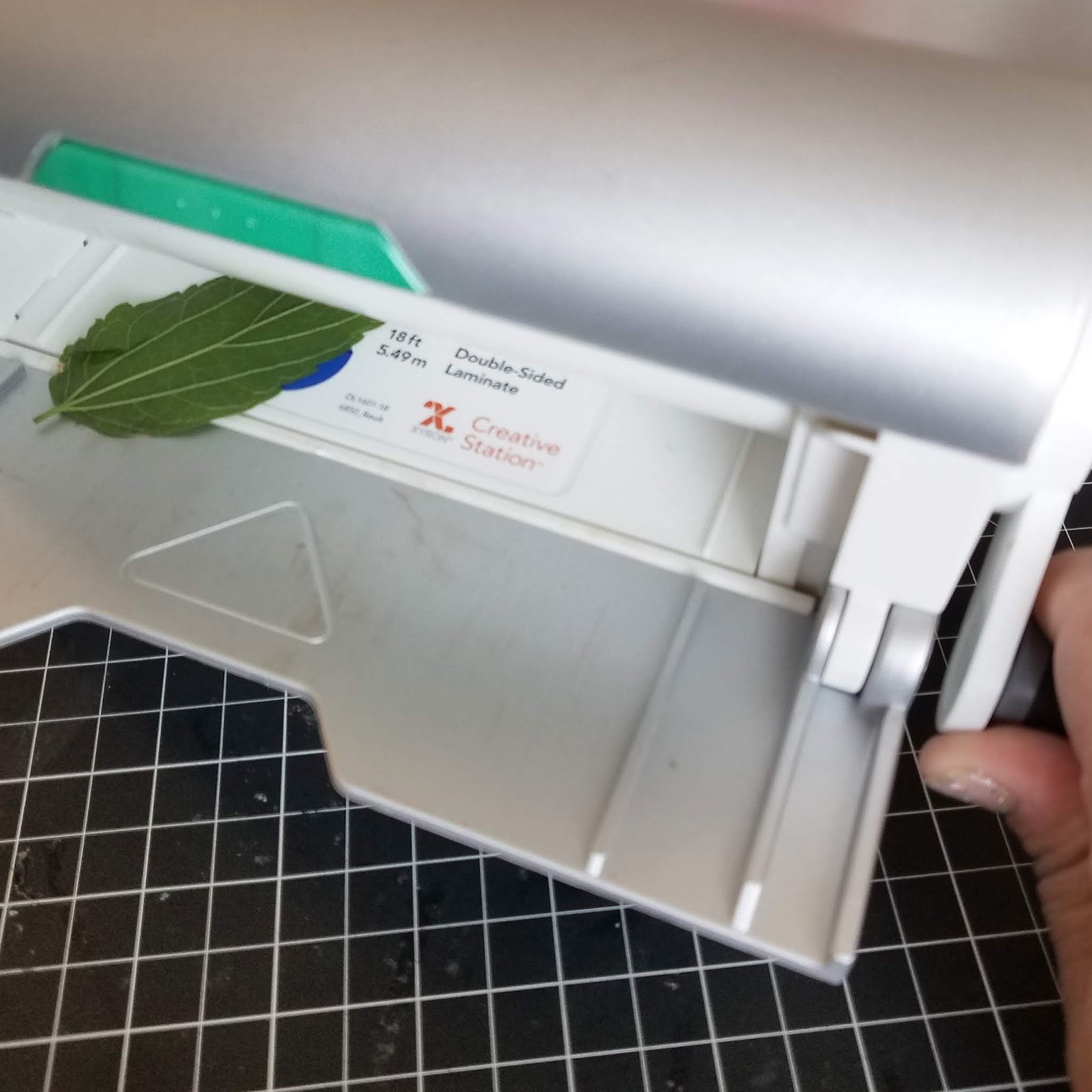 Erin Reed Makes 4 Fun Ways to Use Laminated Leaves