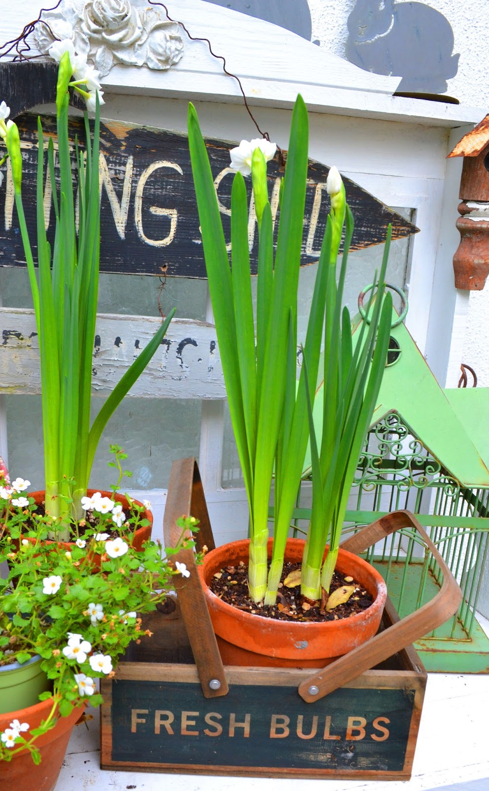 My Painted Garden Christmas Traditions / Garden Gifts