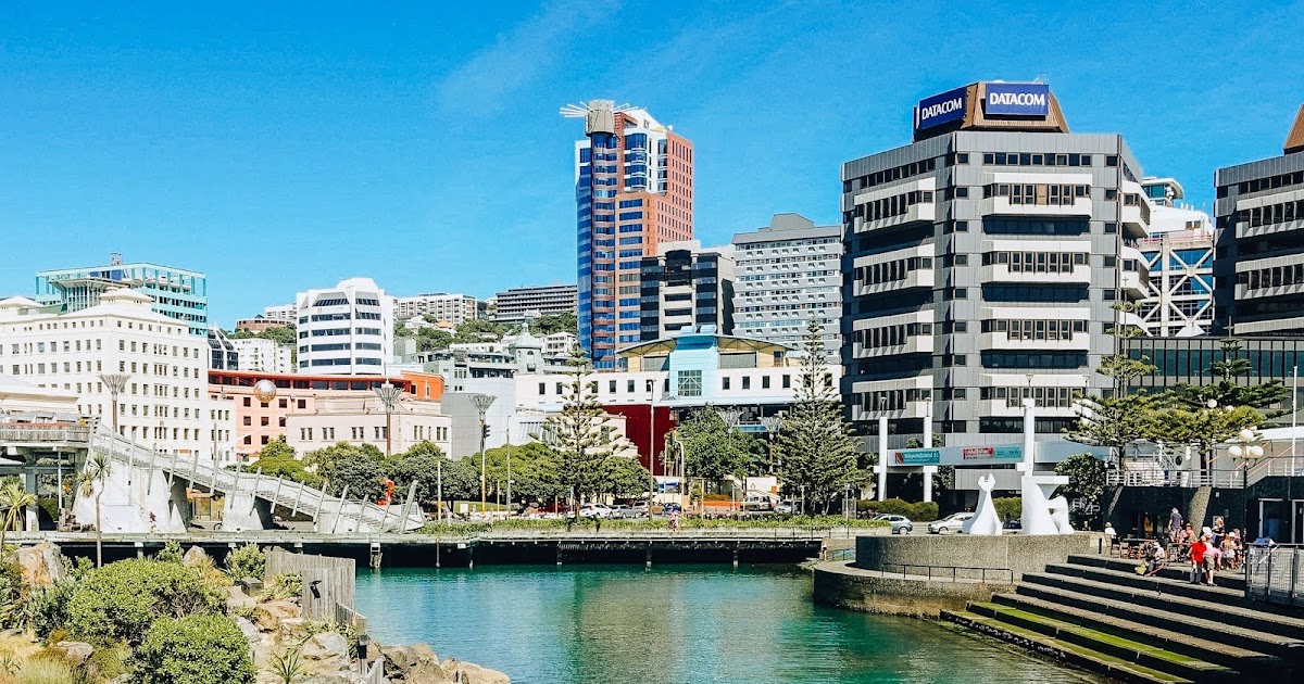 Where to Eat in Wellington 10 Foodie Hot Spots & Eateries Krysti Jaims