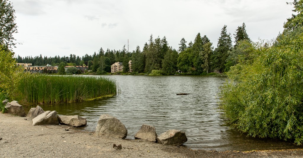 Shoreline Area News Echo Lake now open