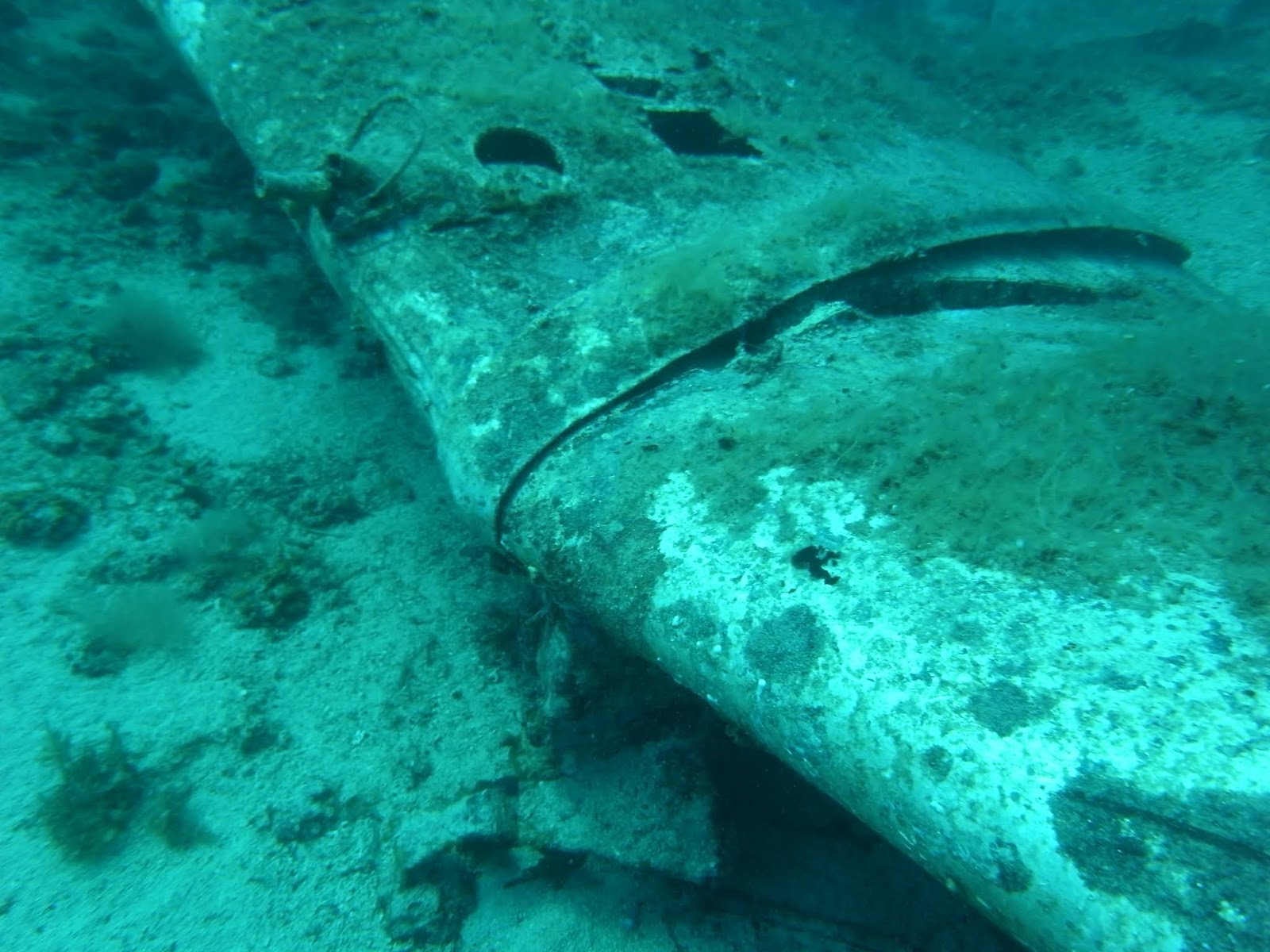 m0015772