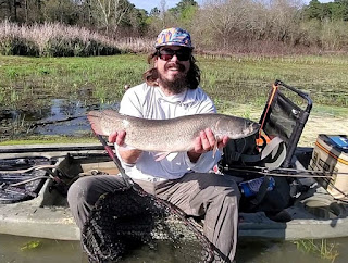 Bowfin Fry, Fly Fishing for Bowfin, Bowfin on the fly, Texas Fly Fishing, Fly Fishing Texas, Bowfin, Beaverfish, Blackfish, Choupic, Cypress Trout, Dogfish, Ginnel, Grindle, Mud Fish,
