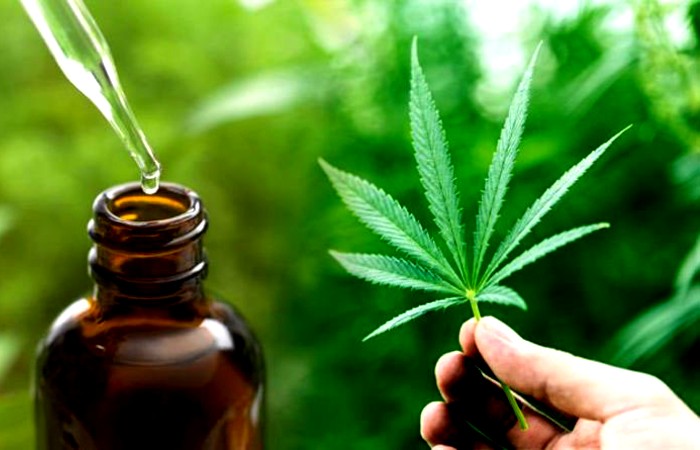 Aceite-de-cannabis Aceite-de-cannabis
