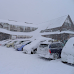 13 Killed, hundreds Injured As Rare Snow Storms Hit Hard