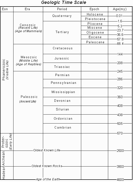 Paleontologi dan Geologi Sejarah ~ Earth Science