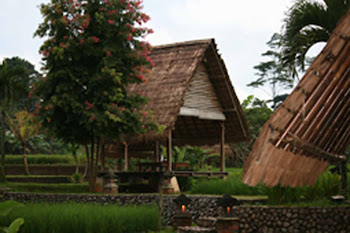 Saung makan pinggir kolam