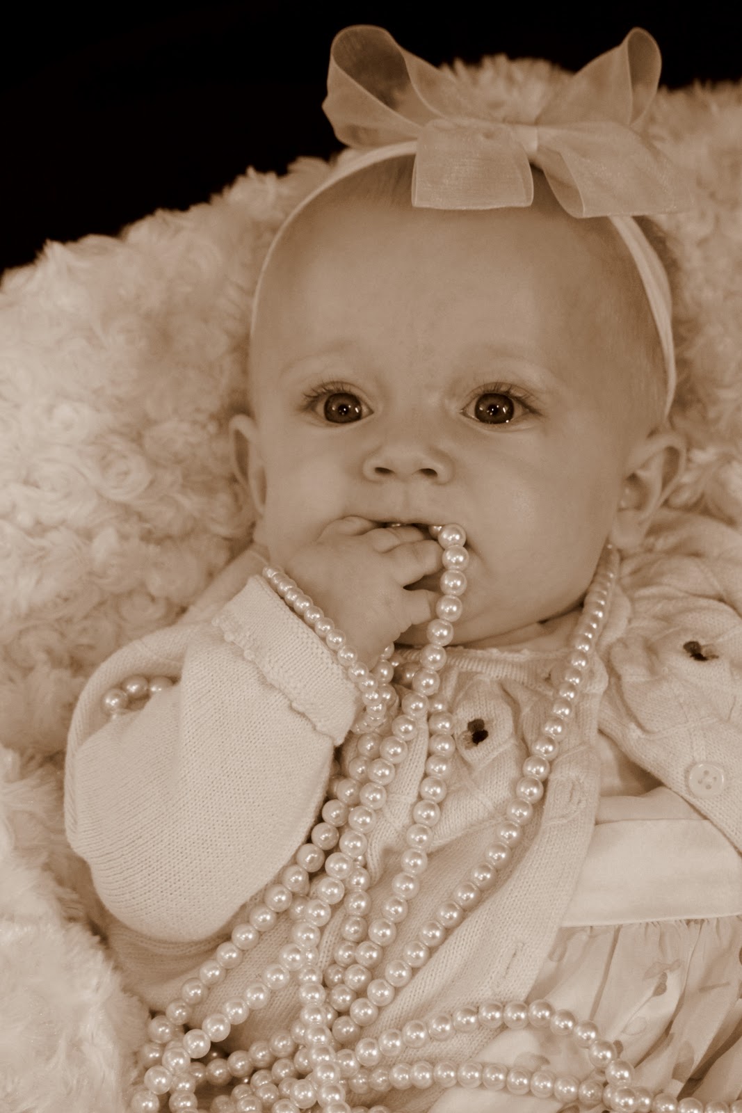 Tanya Ohm Photography