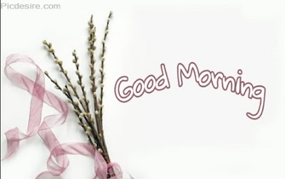 These Best 99+ Good Morning Images will make your day These Best 99+ Good Morning Images will make your day