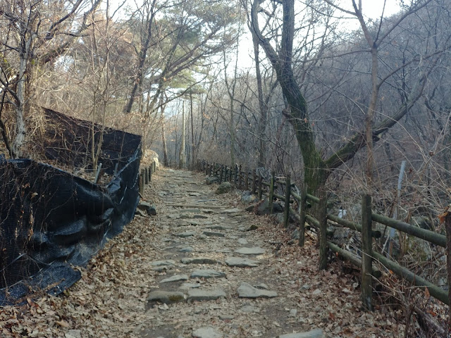 검단산(산곡초교~정상~애니고교 코스