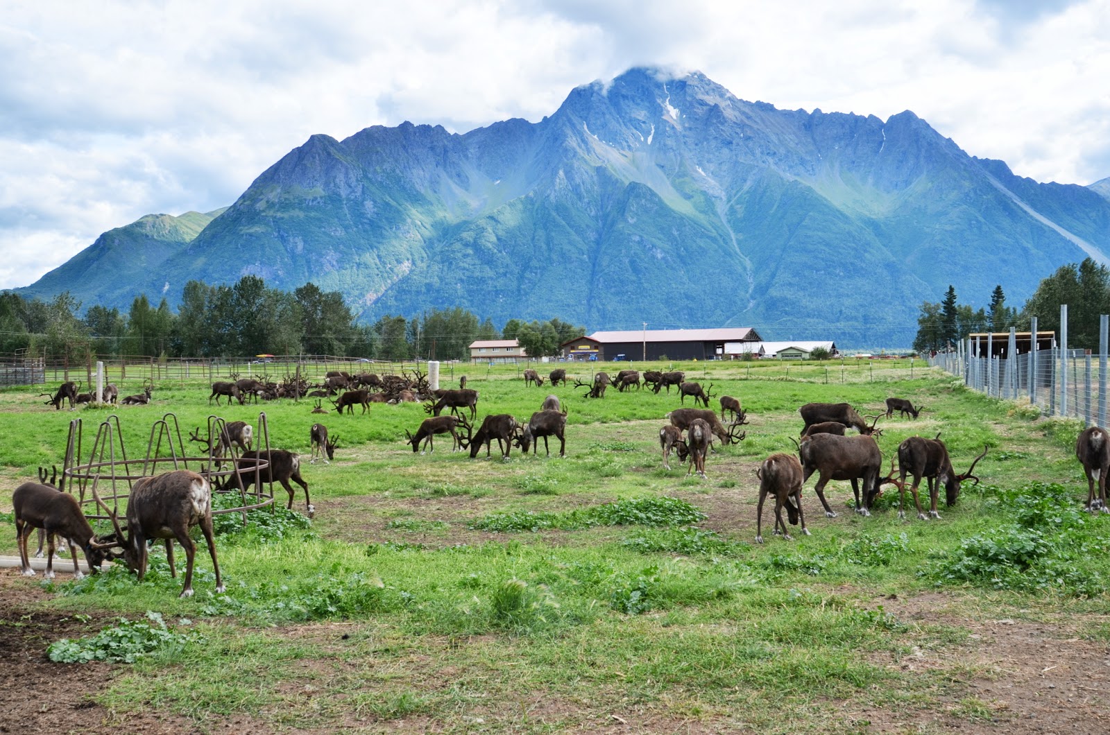 RVing Beach Bums Palmer, Alaska