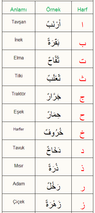 Arapça Notları: Örnek Kelimelerin Okunuşu (Sesli)