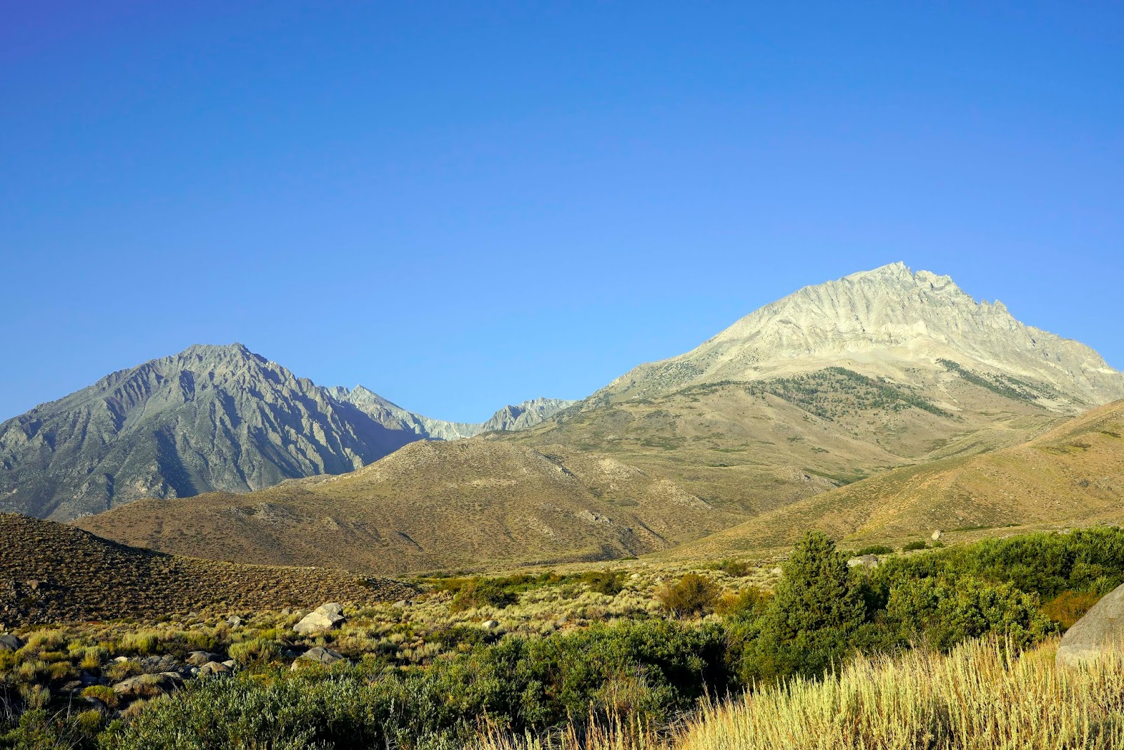 Mid Sierra Musings The Birch Lake Trail On And Off