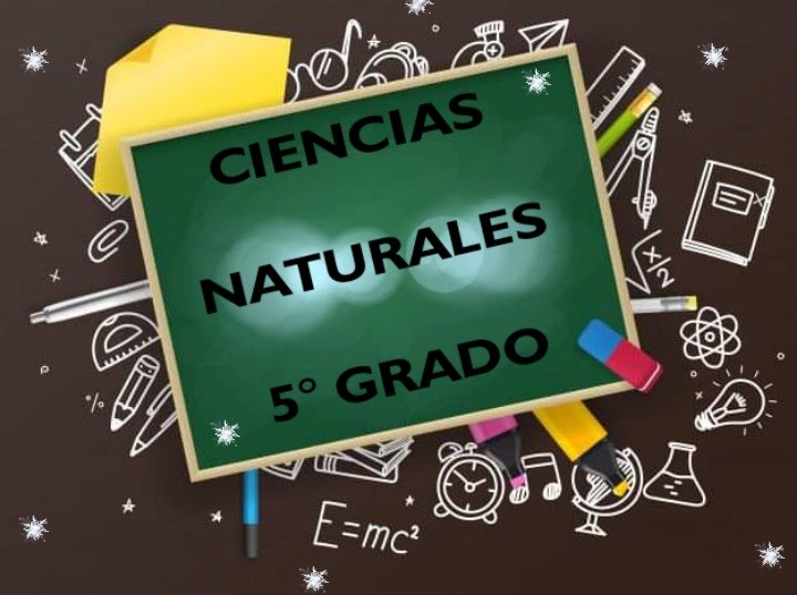 Ciencias Naturales 5* grado PLANEACIONES GRATIS